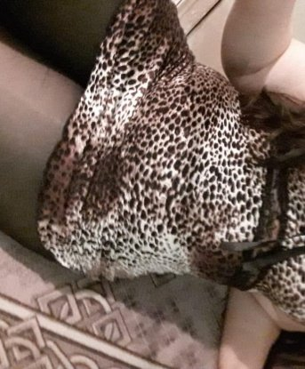 Живу в самом сердце Москвы и готова встретиться с тобой в уютной обстановке моей квартиры или приехать к тебе в отель. 🏨
💋 Мои услуги наполнены страстью, роскошью и искушением. Я умею доставлять наслаждение и удовольствие своим искусным телом, нежными прикосновениями и эротическим массажем. Будь уверен, я знаю, как сделать тебя счастливым и удовлетворенным.
🔥 Помимо классического секса, я воплощу твои самые смелые фантазии, будь то ролевые игры, страстный стриптиз или нежный госпожа. Люблю экспериментировать и открыта к новым опытам.
💌 Обратись ко мне сегодня, и ты получишь незабываемую встречу, полную страсти и неземной блаженности. Можешь посмотреть фотографии меня на моей страничке, а также ознакомиться с отзывами моих благодарных клиентов. 🌹
💫 Жду тебя, чтобы погрузиться в мир наслаждения и расслабления вместе. Со мной ты обретешь все, о чем мечтал, и я буду рада стать твоей ночной феей в Москве! 💫 Ксюша